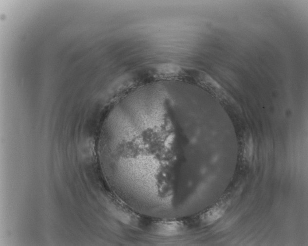 X0000062140711200512161218