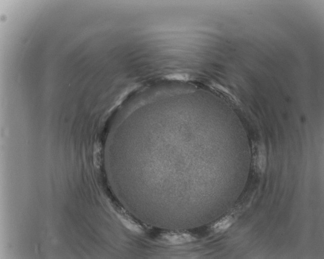 X0000062140712200512161218