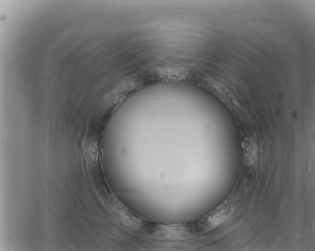 X0000062140713200512161218