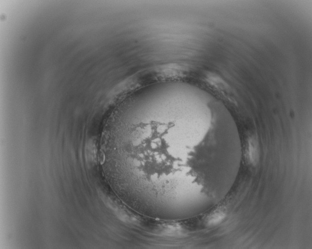 X0000062140715200512161218