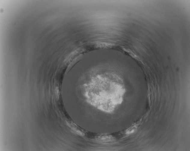 X0000062140716200512161218