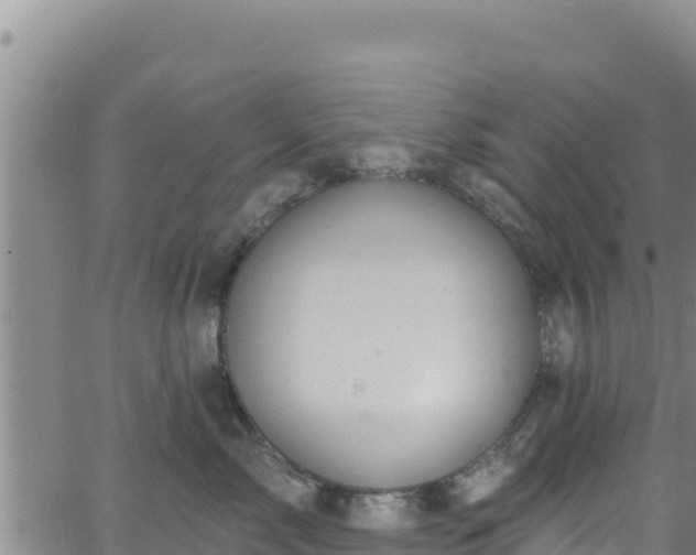 X0000062140717200512161218