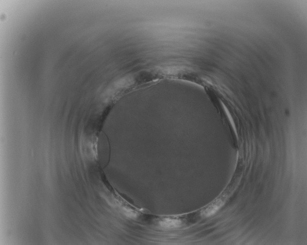 X0000062140718200512161218