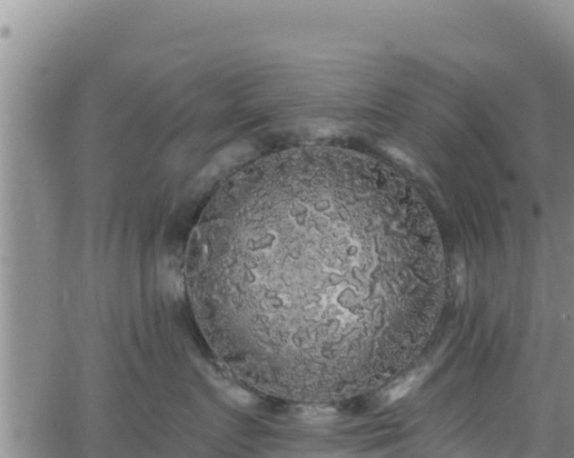 X0000062140719200512161218