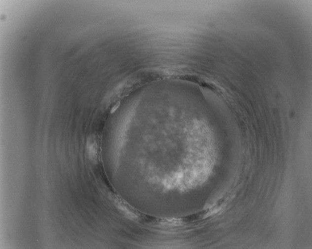 X0000062140720200512161218