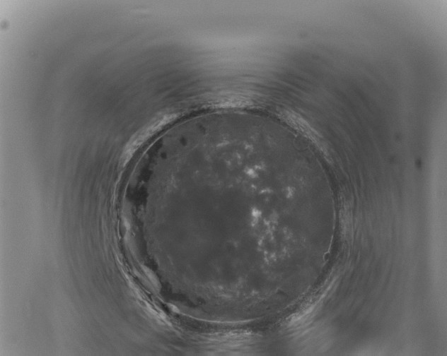 X0000062140721200512161217