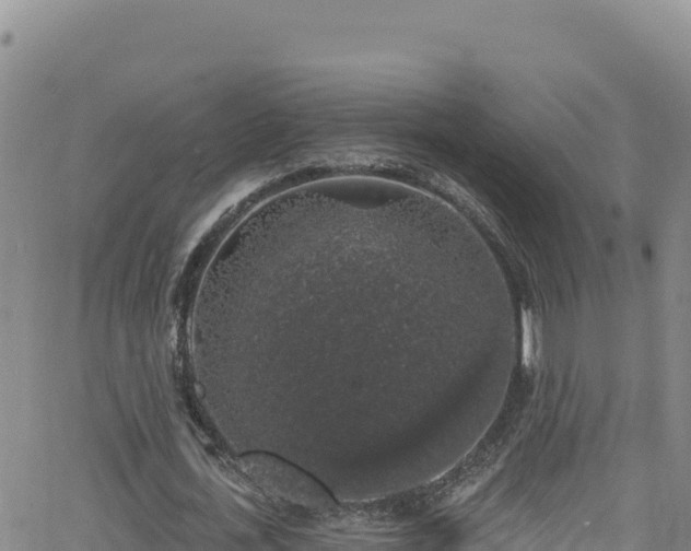 X0000062140723200512161217