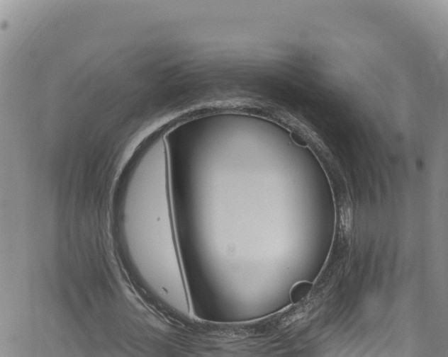 X0000062140724200512161217