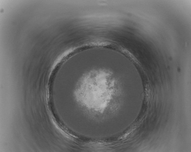 X0000062140726200512161217