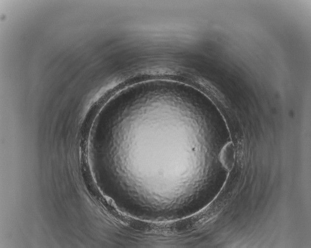 X0000062140727200512161217