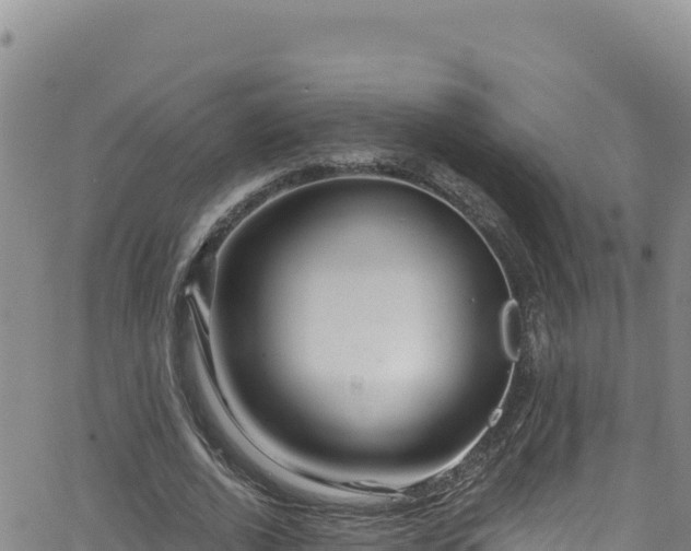 X0000062140728200512161217