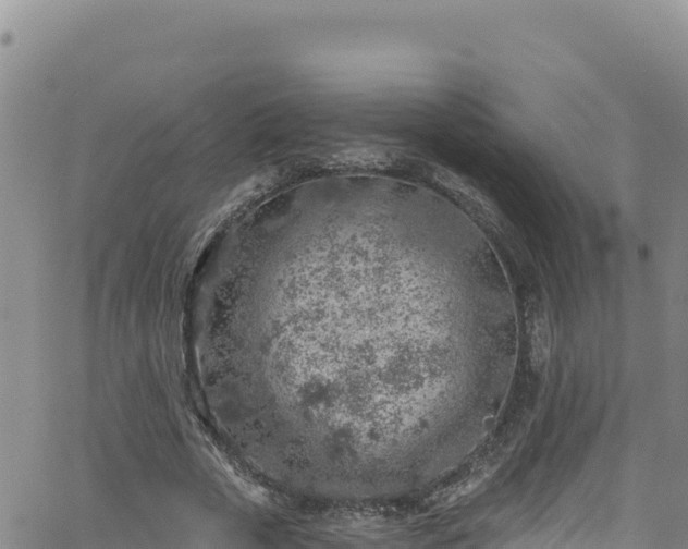 X0000062140729200512161217