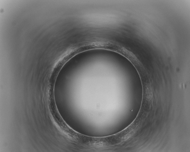 X0000062140730200512161217