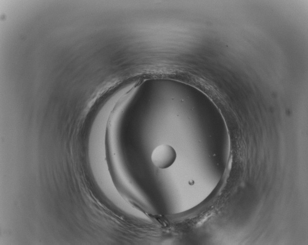 X0000062140731200512161217