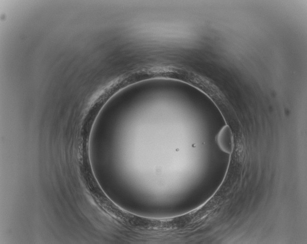 X0000062140732200512161217