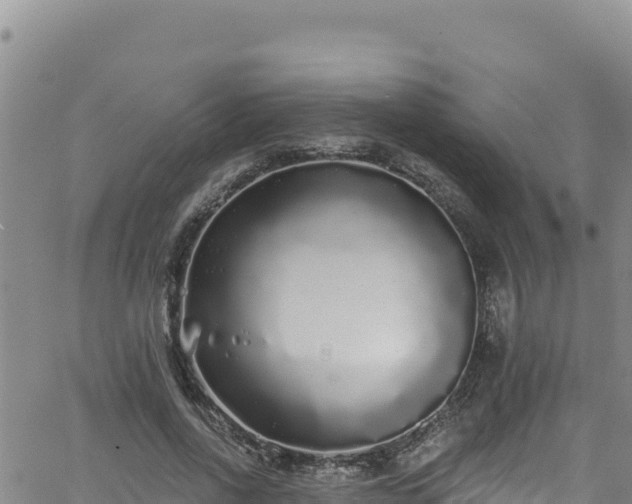 X0000062140734200512161217