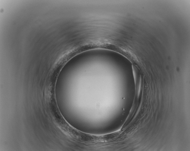 X0000062140736200512161217