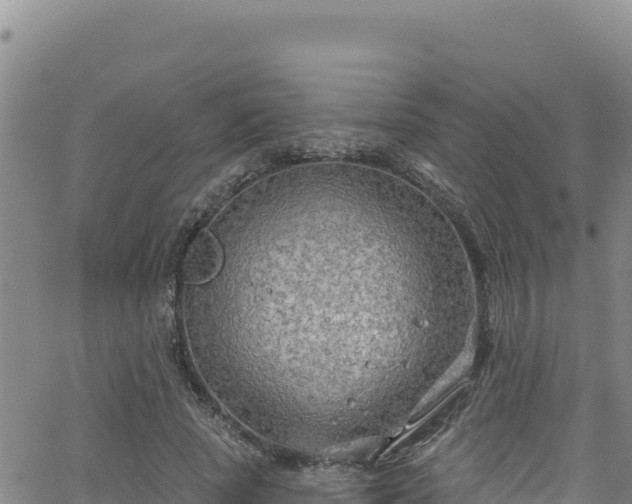 X0000062140737200512161217