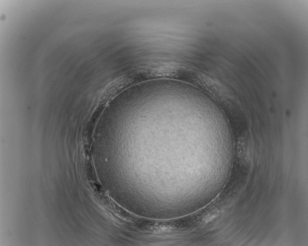 X0000062140741200512161217