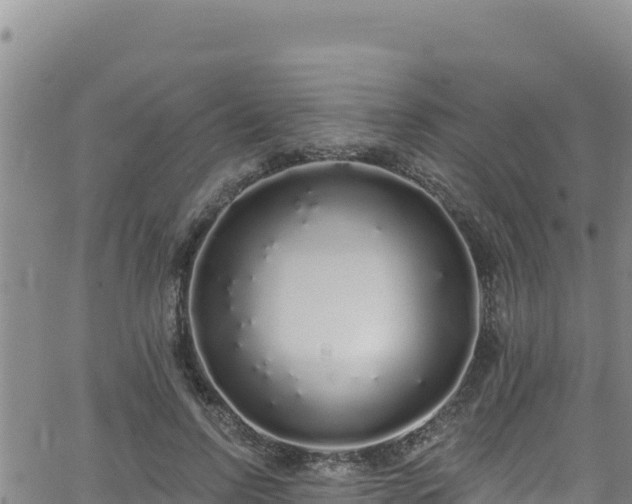 X0000062140742200512161217