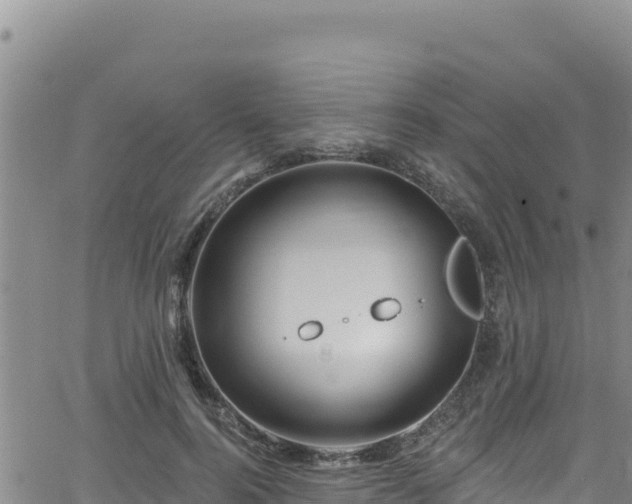 X0000062140744200512161217