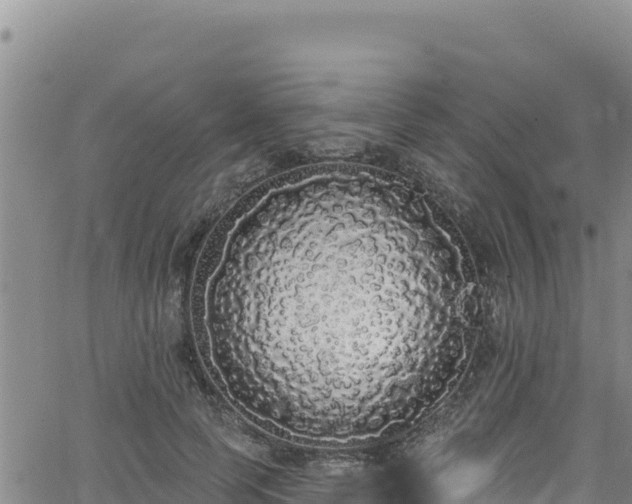 X0000062140745200512161217