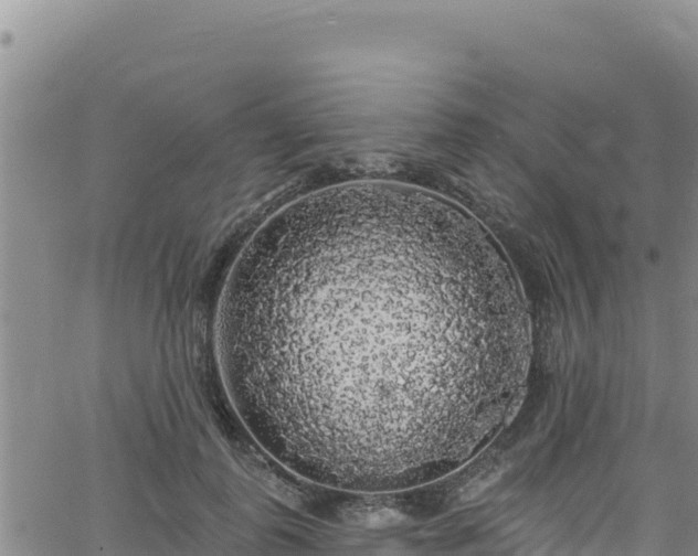 X0000062140747200512161217