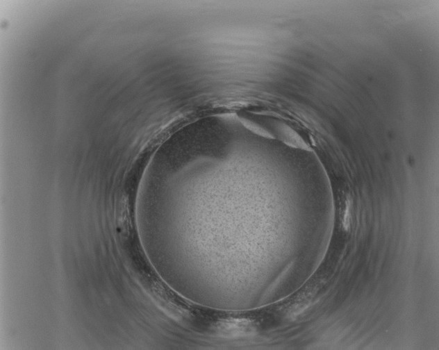 X0000062140748200512161217