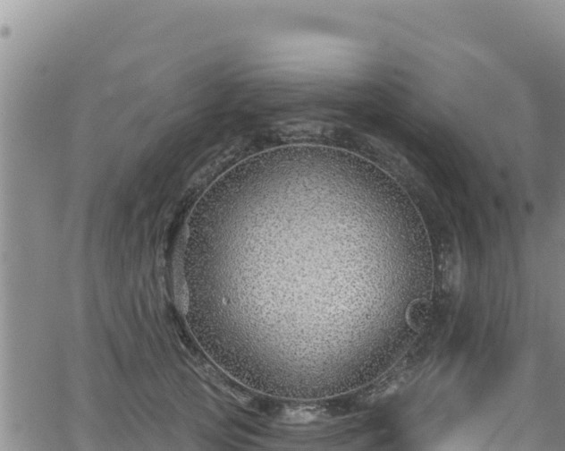 X0000062140753200512161217