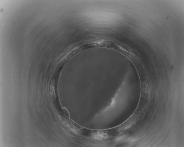 X0000062140754200512161217