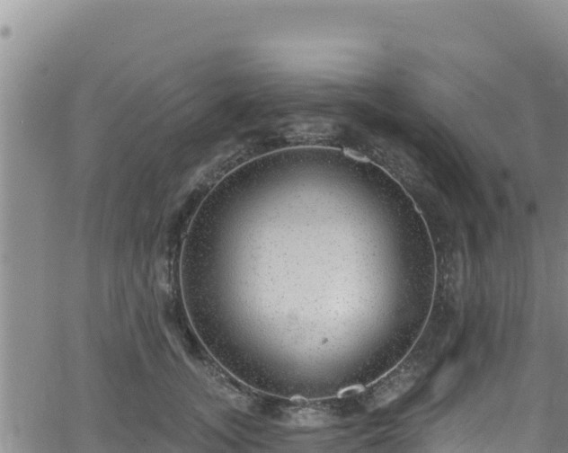 X0000062140755200512161217