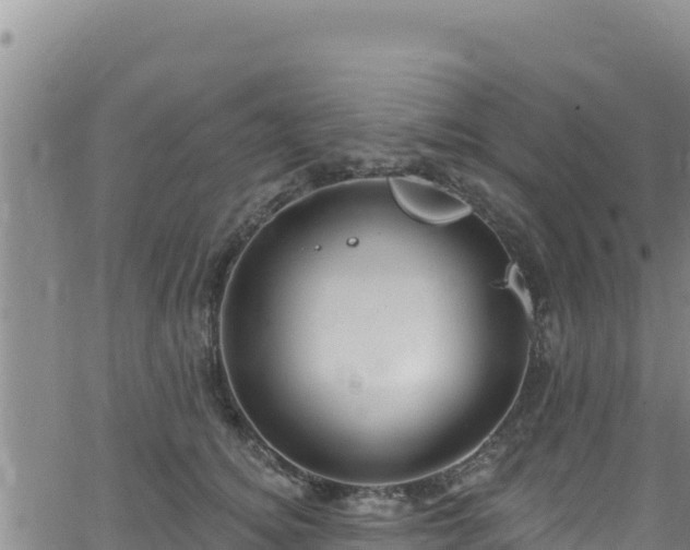 X0000062140756200512161217