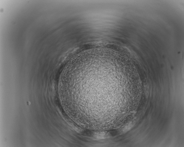 X0000062140757200512161217