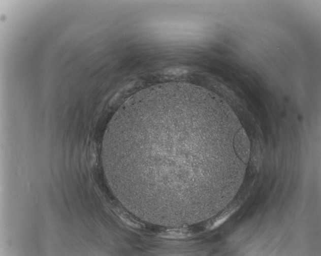 X0000062140758200512161217