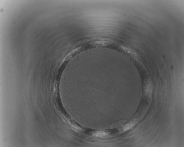 X0000062140759200512161217