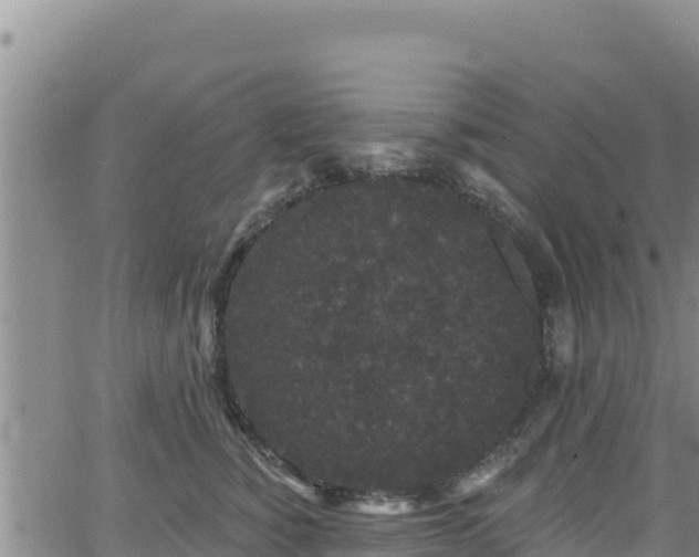 X0000062140760200512161217