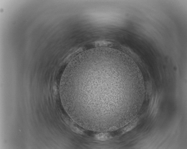 X0000062140761200512161217