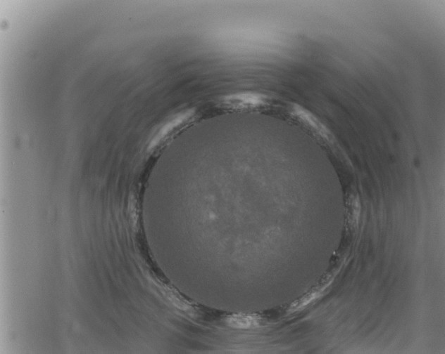 X0000062140762200512161217