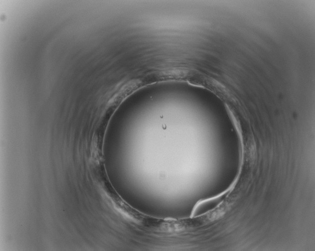 X0000062140764200512161217