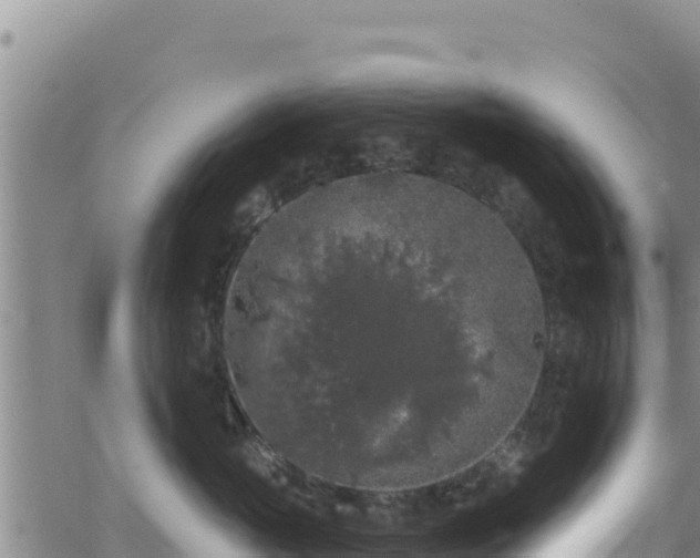 X0000062140765200512161217