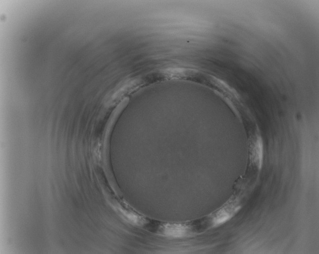 X0000062140766200512161217