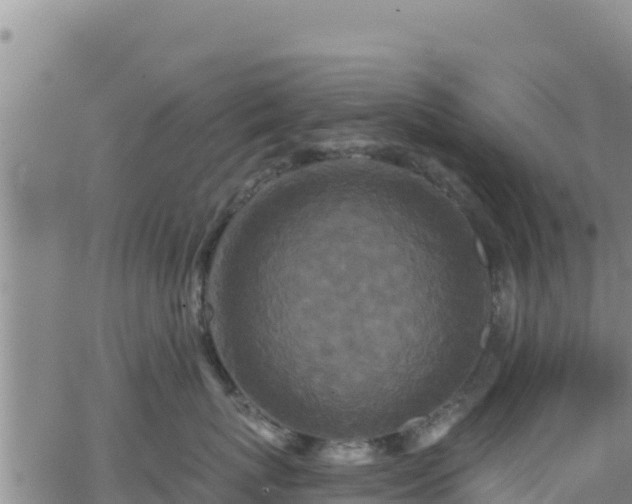 X0000062140767200512161217