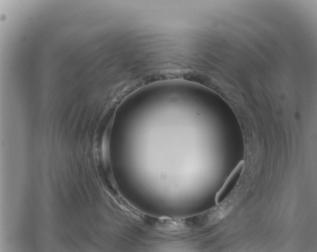 X0000062140768200512161217