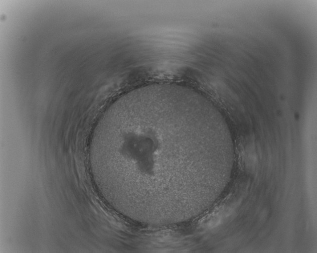 X0000062140769200512161217