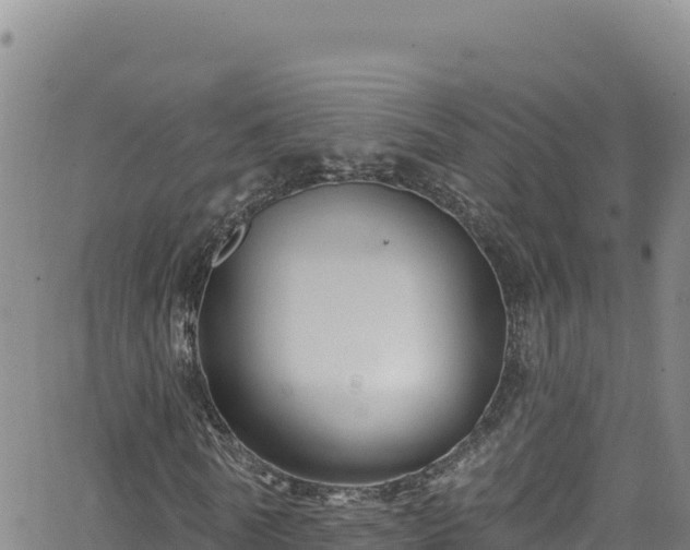 X0000062140770200512161217