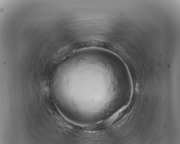 X0000062140771200512161217