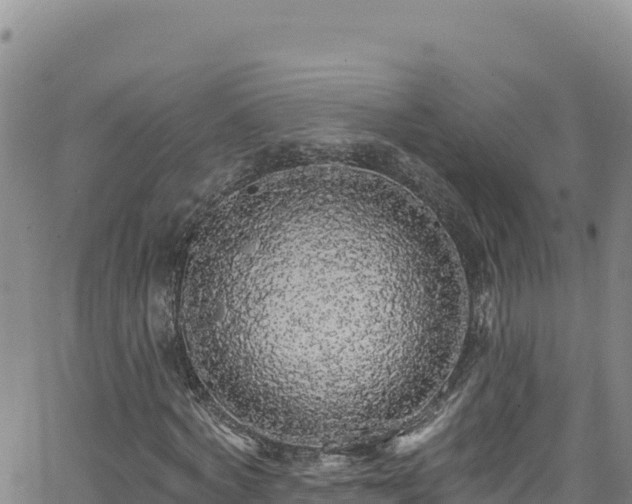 X0000062140772200512161217