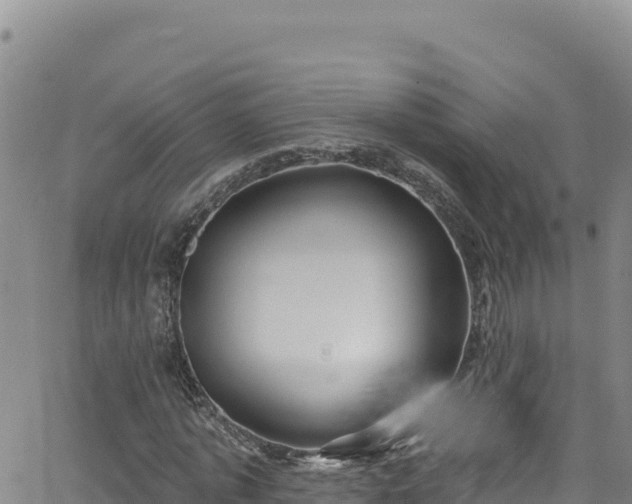 X0000062140773200512161217