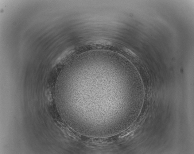 X0000062140774200512161217