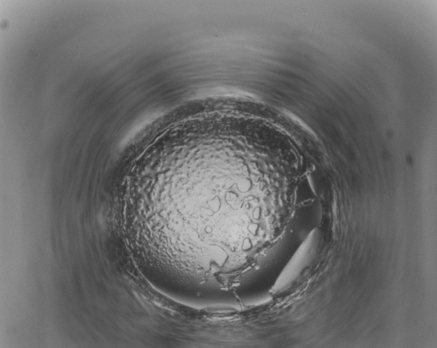 X0000062140775200512161216